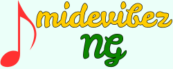 midevibezng.com
