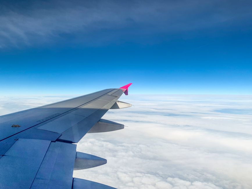 Best Flight Comparison Websites Guide Tips with top flight search options displayed on a laptop screen