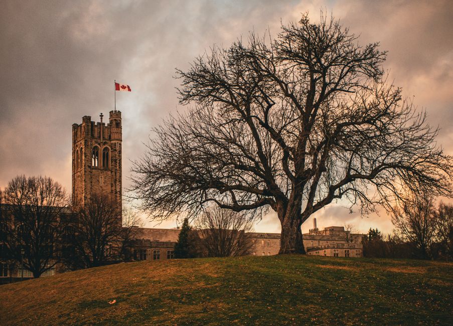 How To Apply To Canadian Universities Intake 2026: student applying online to Canadian universities