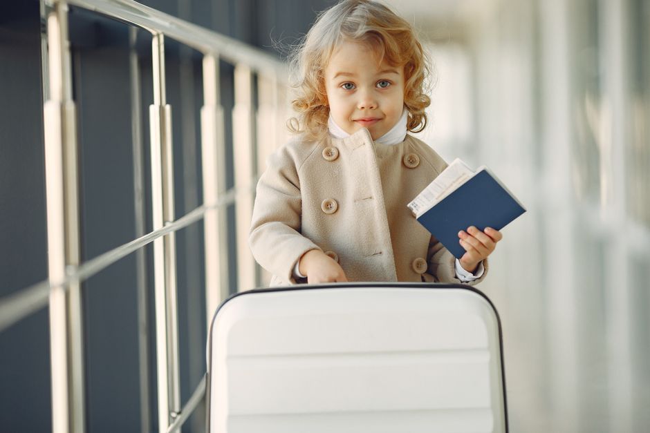 Pet Relocation Services International Pet Passport Requirements Guide with travel documents and pet carrier