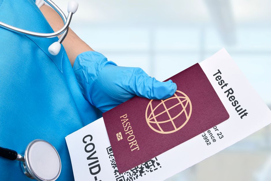Pet Relocation Services International Pet Passport Requirements Quotes checklist with pet passport and documents