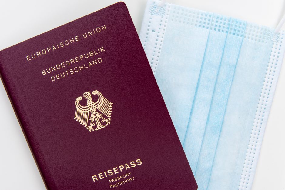 Pet Relocation Services International Pet Passport Requirements Steps checklist and documents